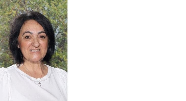 DA - Card Carousel - Card Carousel Template