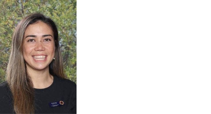 DA - Card Carousel - Card Carousel Template